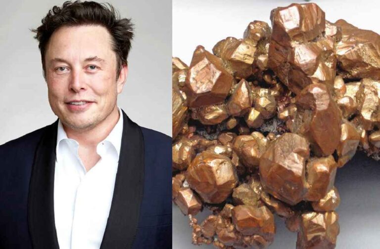 Elon Musk _ Mongolia's Copper Wealth