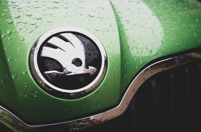 Skoda Emblem Image